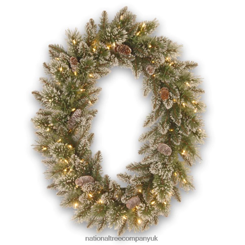 Greenery | National Tree Company Pre-Lit Artificial Christmas Oval Wreath Green Glittery Bristle Pine White Lights Decorated with Pine Cones Frosted Branches Christmas Collection 21 Inches F2L4